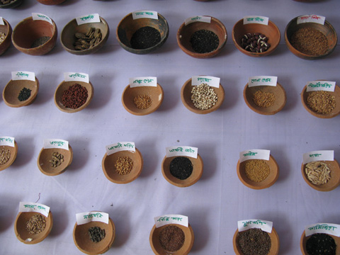 Seed Exibition