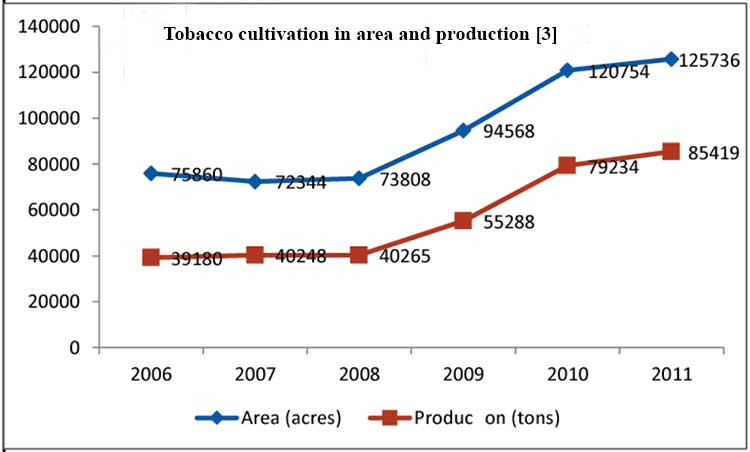 tobacco