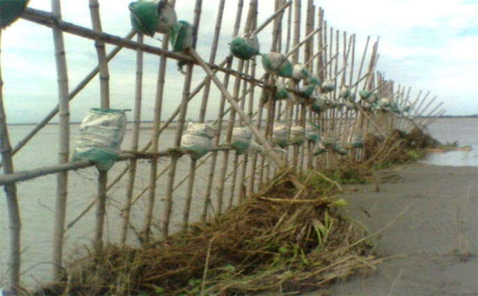 Bamboo binding