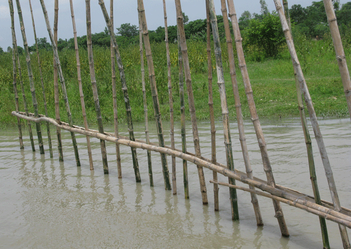 Bamboo binding
