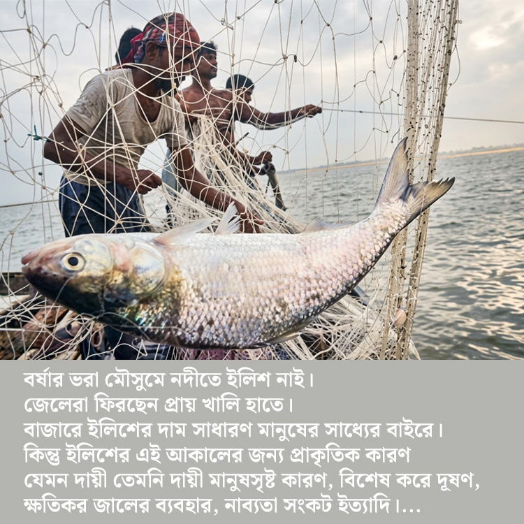 প্রাণ, প্রাণবৈচিত্র ও ব্যবস্থাপনা